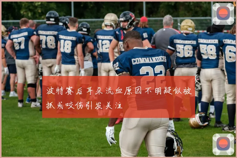 波特赛后耳朵流血原因不明疑似被抓或咬伤引发关注